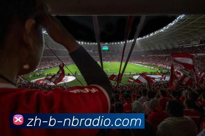 纬来体育服务体系